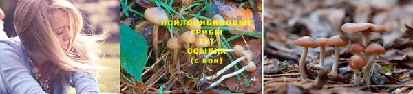 jwh Лабытнанги
