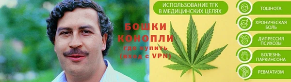амф Ладушкин
