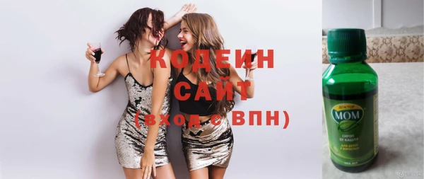 амф Ладушкин