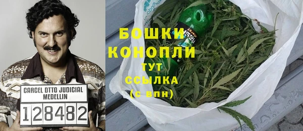 амф Ладушкин