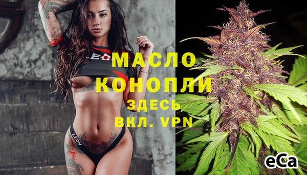 амф Ладушкин