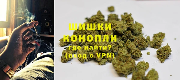 амф Ладушкин
