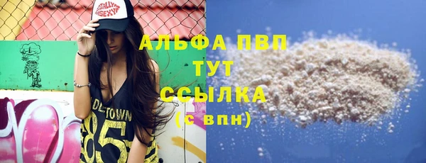 амф Ладушкин